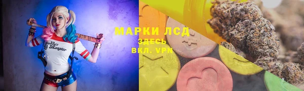 PSILOCYBIN Алзамай