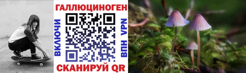 ссылка на мегу как войти  Алейск  Галлюциногенные грибы Cubensis 
